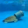 nightturtle